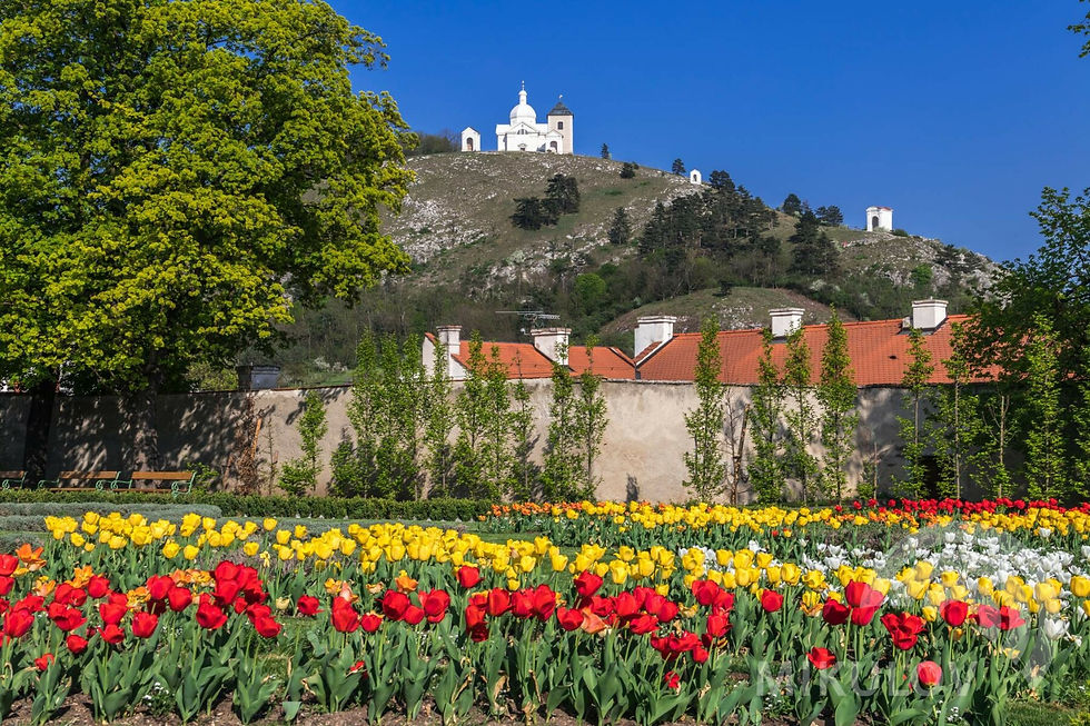 Mikulov a Svatý kopeček