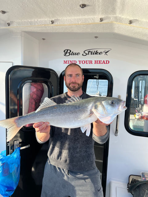 Bass caught on Blue Strike