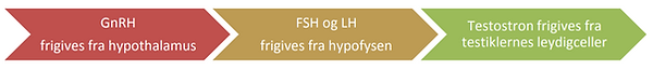 Udklip.PNG