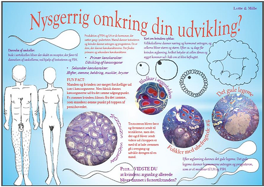 Udklip.PNG