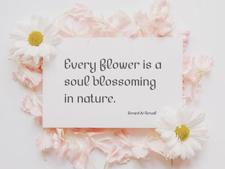 What's the next step from right here?