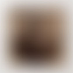 What do you want to do with your life?