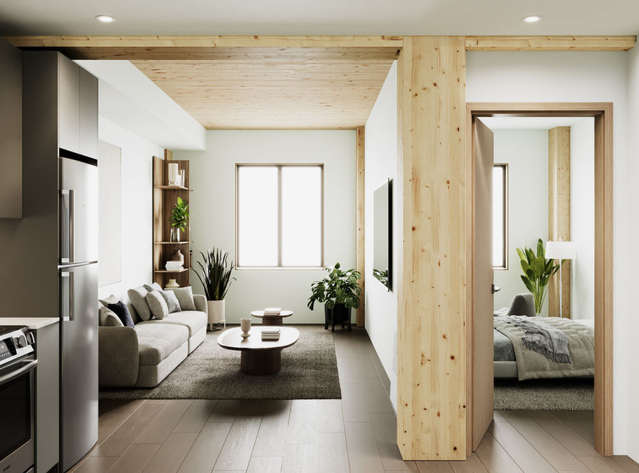 Interior view of an apartment with CLT ceiling