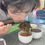 Thumbnail: Lishan Spring Black Tea - Limited