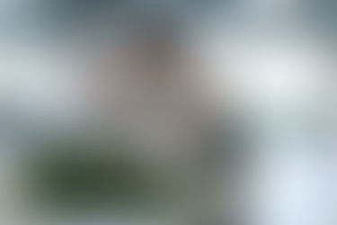 Aprendiendo a elaborar té Dong Ding tradicional - Parte 1