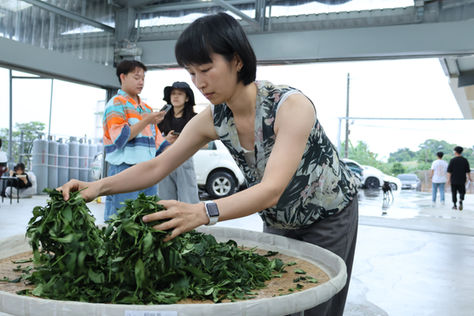 Aprendiendo a elaborar té Dong Ding tradicional - Parte 1