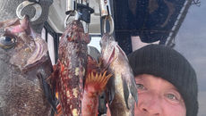 ガシラ、メバルはやっぱり楽しい🤣🤣🤣