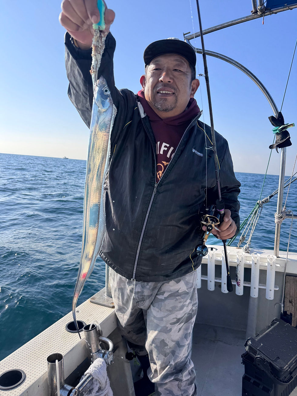 タチウオ最終便