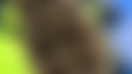 ノマセ好調でした👍