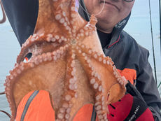 まだ、肌寒いタコ釣り🐙