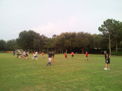 2013-08-06 19.56.45.jpg