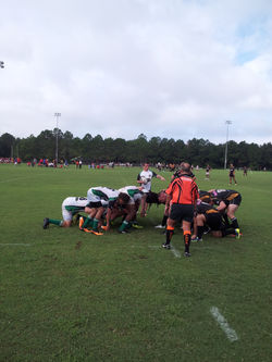 2013-10-20 10.51.53.jpg