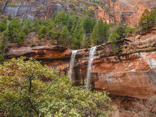 The Complete Guide to Hiking Emerald Pools Trail Zion