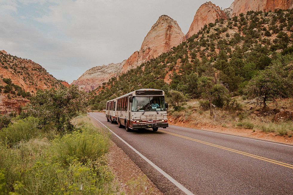 Las Airport To Zion National Park www.zionadventurephotog.com