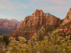 Why You Should Visit Zion National Park in November