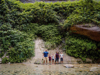 12 Amazing But Easy Hikes in Zion