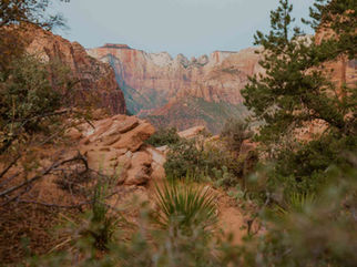 Zion to Arches National Park - Two Top Utah Destinations in One Trip!