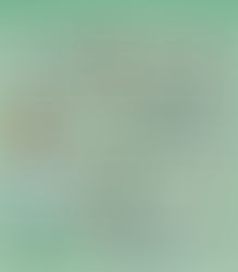 SISTEMA POLÍTICO MEXICANO DEL SIGLO XX