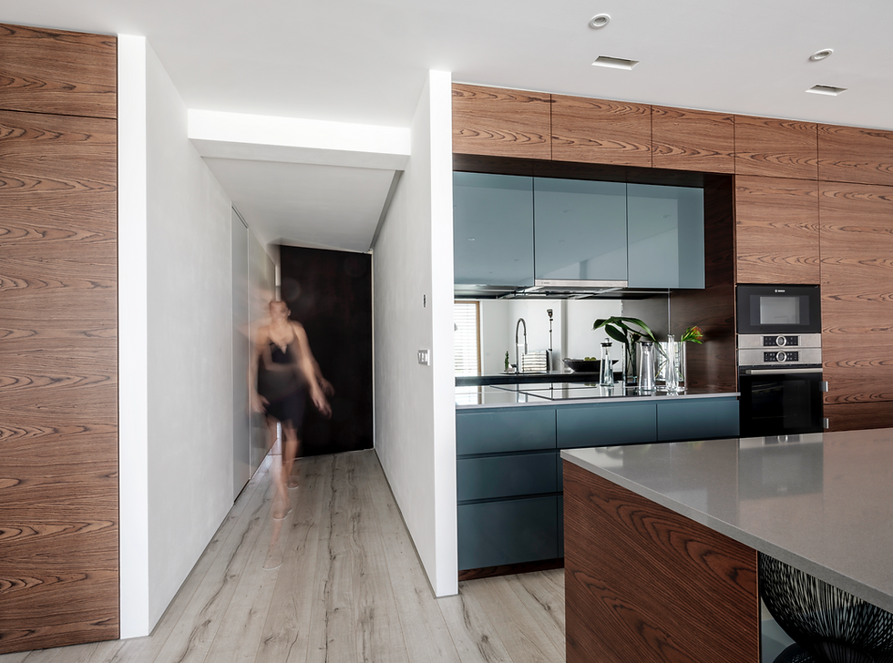 Pivot Door - DKA Design