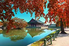 Gyeongbokgung Palace.webp