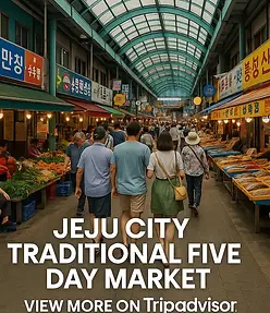 Jeju City Traditional Five Day Market_TA.webp