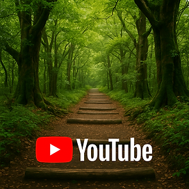 Bijarim Forest videos showing ancient nutmeg yew trees and shaded walking paths in Jeju