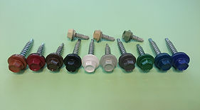 roofing screw (head painted)