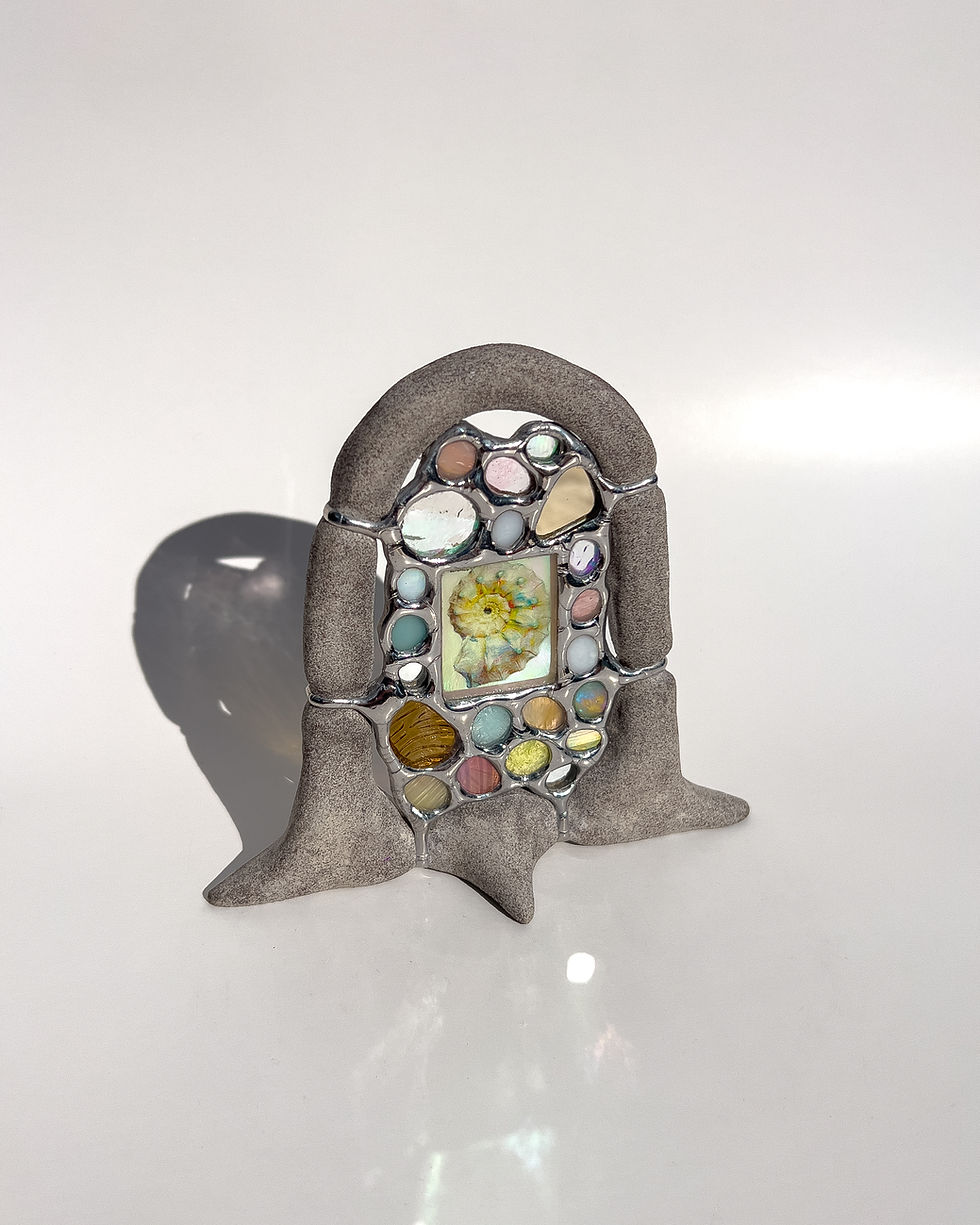 Thumbnail: Nautilus