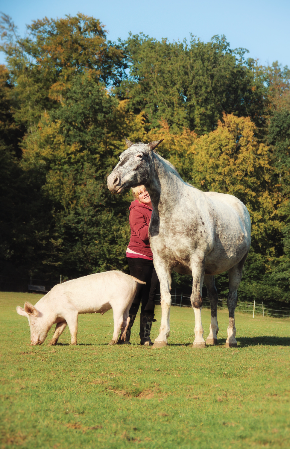 Mein Pferd und seine Natur?! (2 Tage)