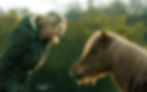 Pony.jpg