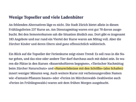 Tagesanzeiger: «Run auf unsere Ferienkurse»