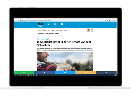 Züritoday: «IT-Spezialist rettet in Zürich Schafe vor dem Schlachter»