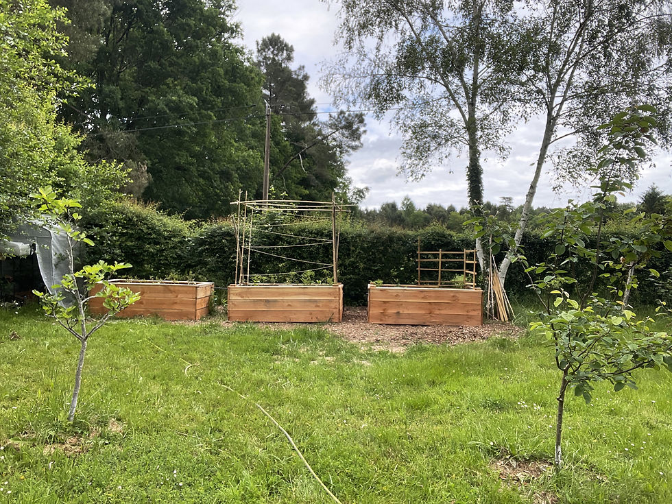 Bacs à potager, jardin en Dordogne