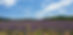 20230715_132452.jpg