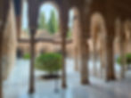 IMG-20250121-WA0051