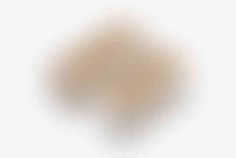 sonos-roam-packaging-pulp-tray-2500