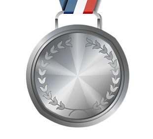 silvermedal-removebg-preview.png
