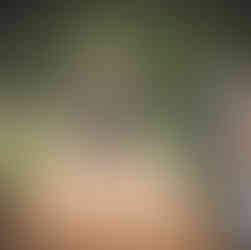 The officiant of an outdoor wedding ceremony stands centrally between two milk urns of flowers, an oak frame behind her. She wears a long navy dress with pink flowers on it and holds a microphone.