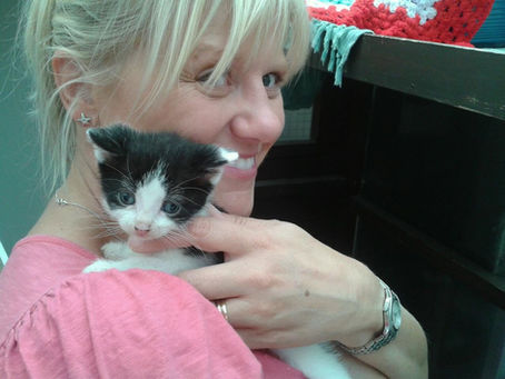 Smiling blonde woman in a pink shirt cuddles a black-and-white kitten at a rescue shelter.