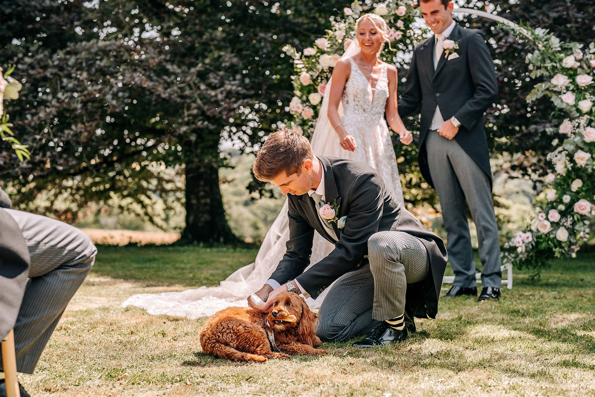 A dog delivers the rings at Jade and Tom's outdoor wedding ceremony with Celebrant in Cornwall
