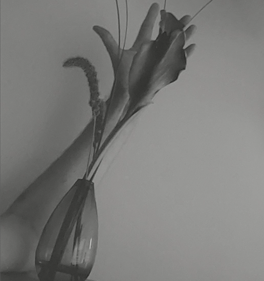 Clinic flowers.PNG
