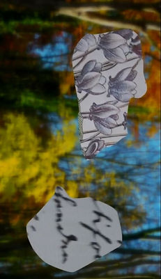 Cobenzl  Gartenblumen  5_edited.jpg