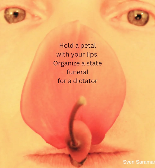 Hold a petal.PNG