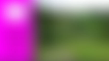 Beyond Compliance: Turning Your SDG Challenges into a Competitive Advantage.