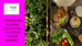World Food Day: Our Mission for a Resilient and Sustainable Food Future