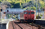 953D 野々口