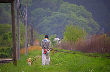 津山線線路沿い