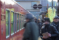 3931D 亀甲