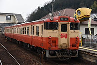 955D 亀甲.jpg