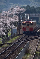 桜とノスタルジー